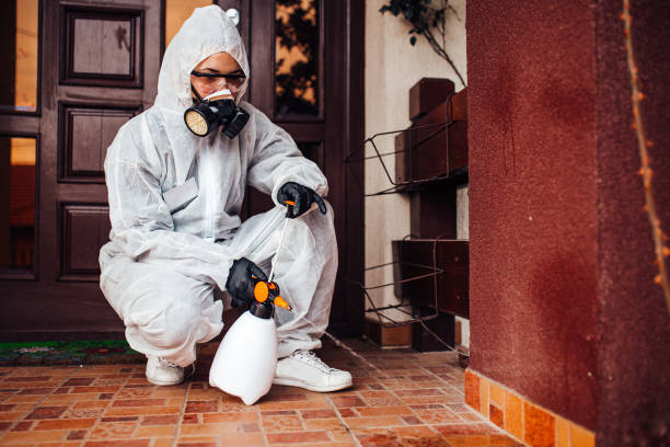 Reliable Bed Bug Control contractor in Rockford, MI by Nex Pest Control